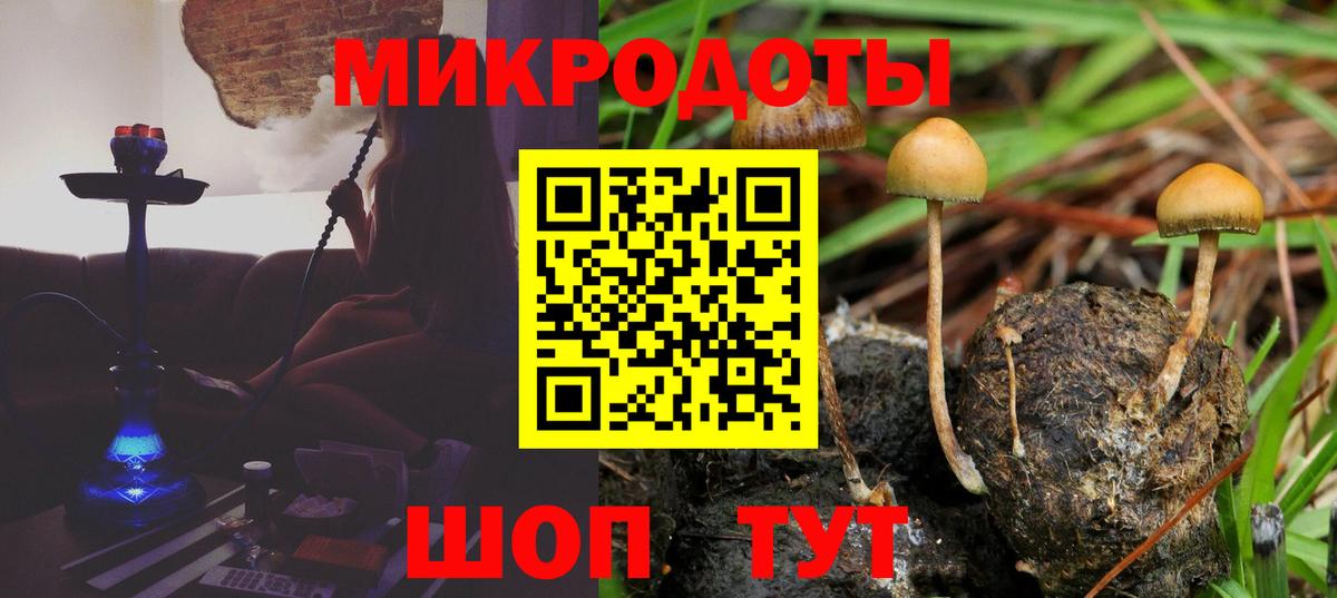 Псилоцибиновые грибы Psilocybine cubensis  Вход с VPN  Псилоцибиновые грибы GOLDEN TEACHER  Майский 