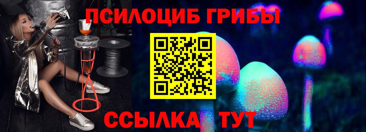 Псилоцибиновые грибы Cubensis Майский