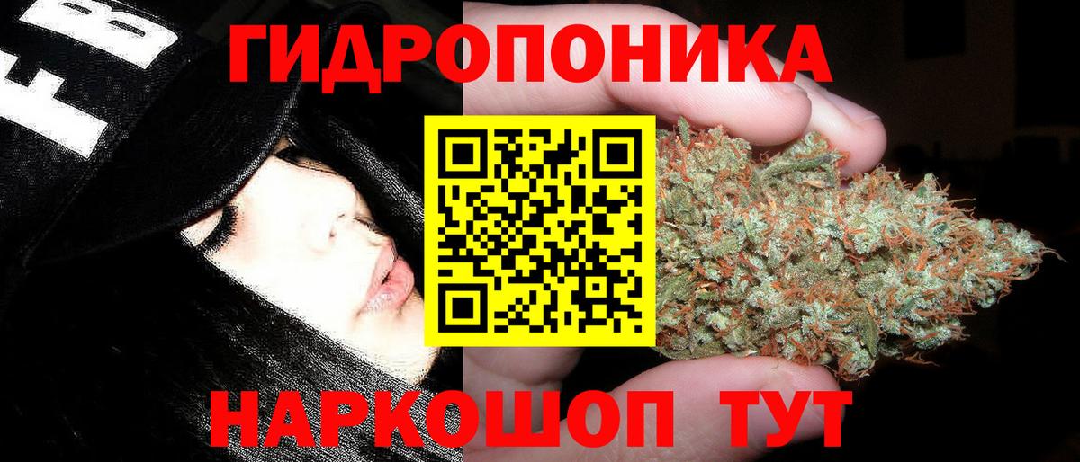 Шишки марихуана OG Kush Майский